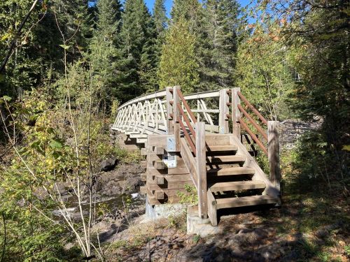 A wooden bridge with stairs, surrounded by trees and greenery, crossing a rocky stream in a forested area.