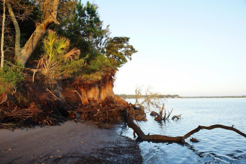 A serene riverside scene with sandy shore, trees, and exposed roots along the water's edge at sunset.