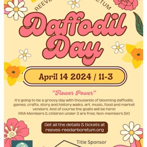 Colorful poster for Daffodil Day on April 14, 2024, featuring flowers, event details, and activities like crafts and music.