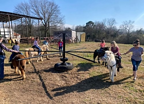 Children riding ponies on a rotating carousel in a sunny outdoor setting with trees in the background.