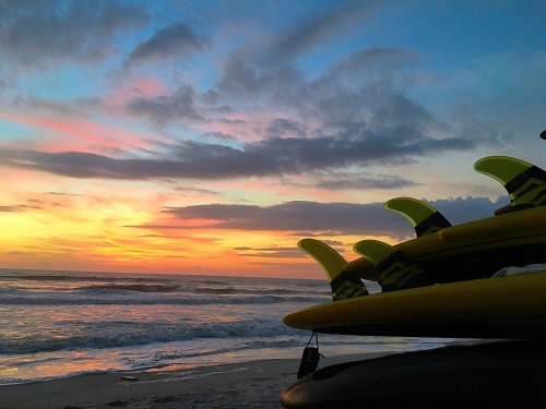 Silhouetted surfboards with yellow fins against a vibrant sunset over the ocean.