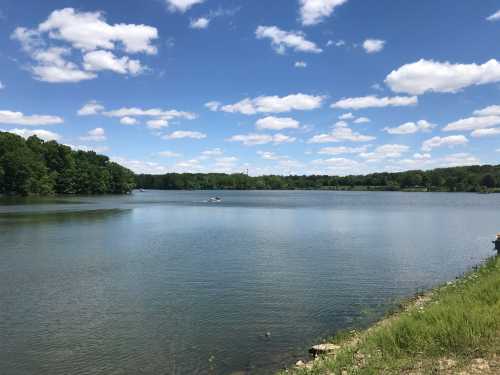 A serene lake surrounded by lush greenery under a bright blue sky with fluffy white clouds.