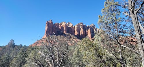Red rock formations rise against a clear blue sky, surrounded by green trees in a natural landscape.