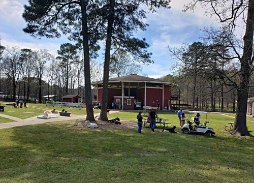 A park scene with people, dogs, and a red building in the background, surrounded by trees and open green space.