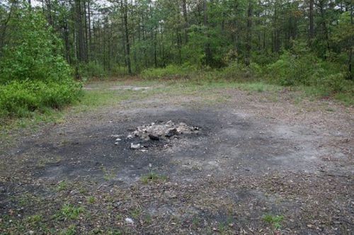 A cleared area in a forest with a small, charred fire pit surrounded by green vegetation and dirt.
