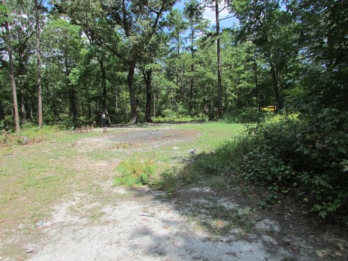 A clearing in a wooded area with sparse grass and trees, under a clear blue sky.