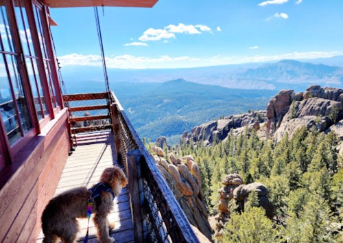 A dog stands on a wooden deck overlooking a vast mountain landscape under a clear blue sky.