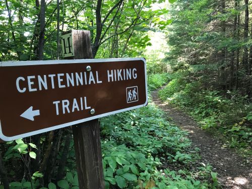 A brown sign points left to the "Centennial Hiking Trail" along a lush, green forest path.