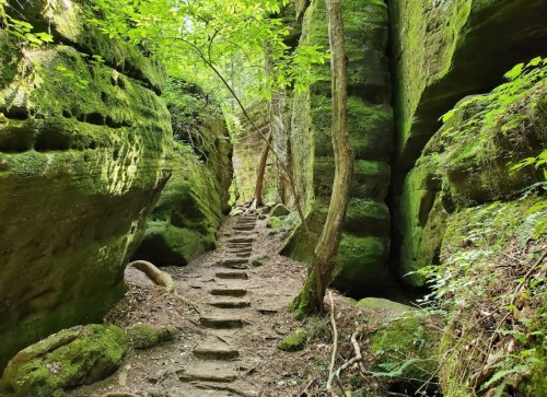 A narrow, moss-covered path leads through tall, green rock formations and trees in a serene forest setting.