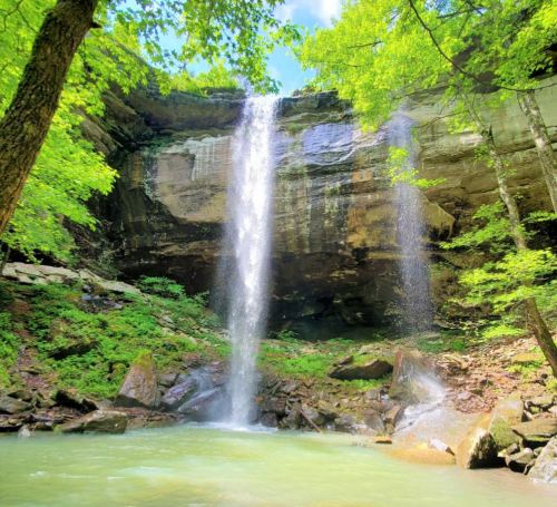 A serene waterfall cascades over rocky cliffs into a tranquil pool, surrounded by lush green trees and vibrant foliage.