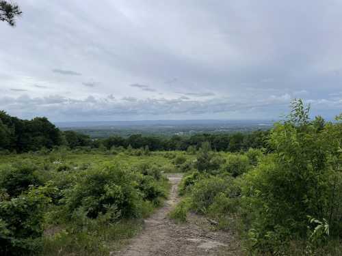 A scenic view of a green landscape with a path leading into the distance under a cloudy sky.