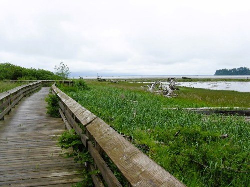A wooden boardwalk winds through a grassy wetland, with a calm waterway and distant trees under a cloudy sky.