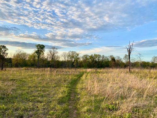 A grassy path leads through a serene landscape with trees and a blue sky dotted with clouds.