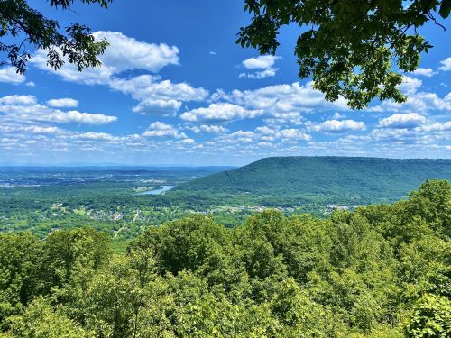 A panoramic view of lush green hills and valleys under a bright blue sky with fluffy white clouds.