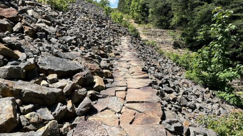 A rocky path winds through a hillside, surrounded by greenery and trees under a clear blue sky.