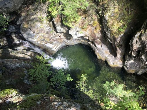 Aerial view of a rocky pool surrounded by lush greenery and sunlight filtering through the trees.