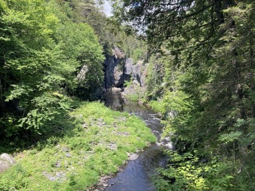 A serene river flows through a lush green landscape, surrounded by trees and rocky cliffs under a clear blue sky.