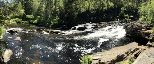 A serene river flows over rocks, surrounded by lush green trees and sunlight filtering through the foliage.