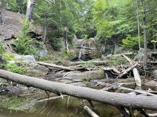 A serene forest scene featuring a waterfall cascading over rocks, surrounded by lush greenery and fallen trees.
