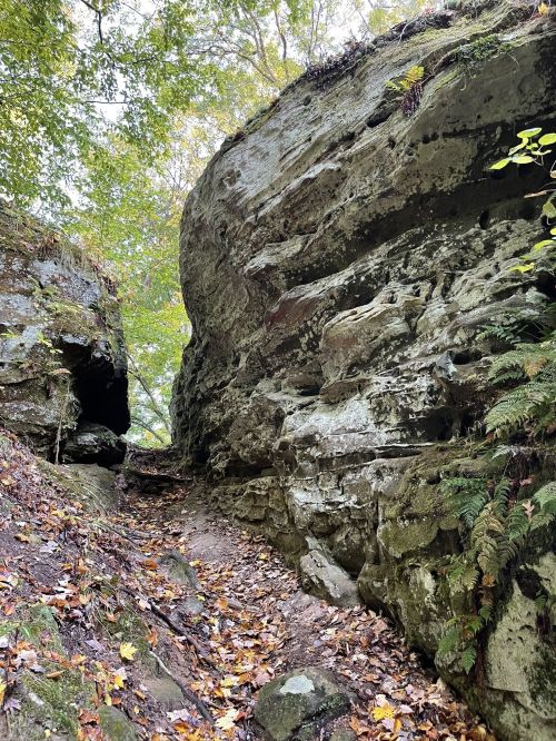A narrow path between towering rock formations, surrounded by greenery and fallen leaves.