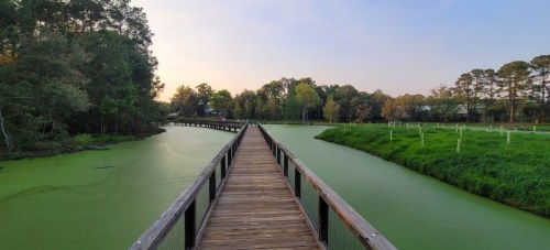 A wooden walkway stretches over a green pond, surrounded by trees and a serene landscape at sunset.