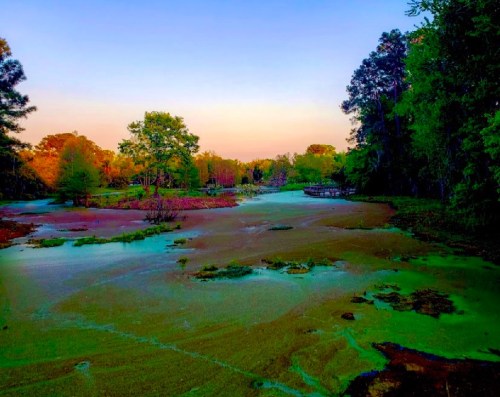 A serene landscape featuring a calm, greenish waterway surrounded by trees at sunset.