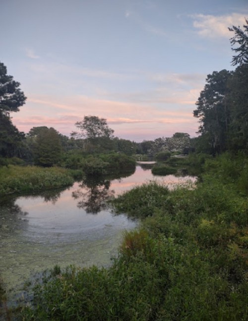 A serene landscape featuring a calm river surrounded by lush greenery and trees, with a pastel sky at dusk.