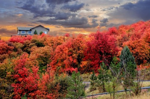 A house atop a hill surrounded by vibrant red and orange autumn foliage under a dramatic sky.
