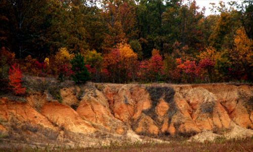 Crowley's Ridge Parkway: The Best Scenic Drive In Arkansas