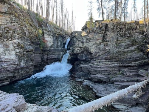 A serene waterfall cascades into a rocky pool, surrounded by tall, bare trees in a natural landscape.