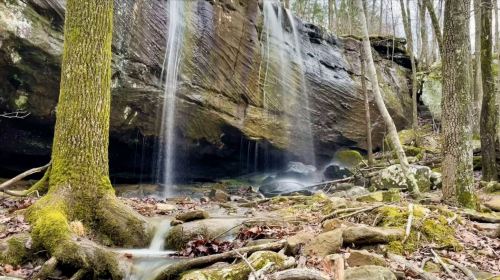 A serene waterfall cascades over a rocky cliff, surrounded by moss-covered stones and trees in a tranquil forest setting.