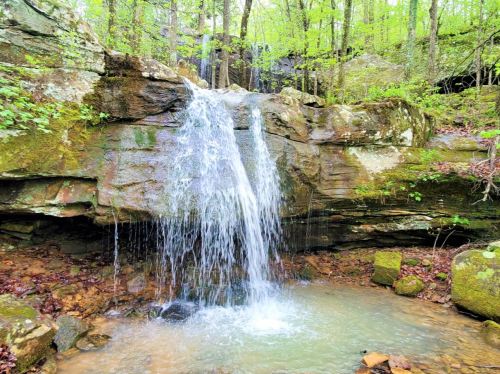 A serene waterfall cascades over rocks into a small pool, surrounded by lush green trees and foliage.