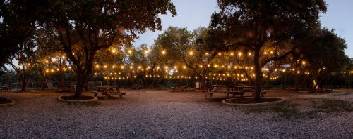 A serene outdoor space with trees adorned with string lights, picnic tables, and a gravel path under a twilight sky.