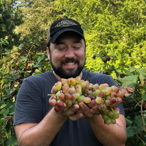 A smiling man holds a large bunch of grapes in front of a lush green background.