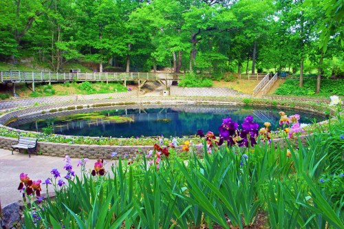 A serene circular pond surrounded by vibrant flowers and lush greenery, with a wooden walkway in the background.