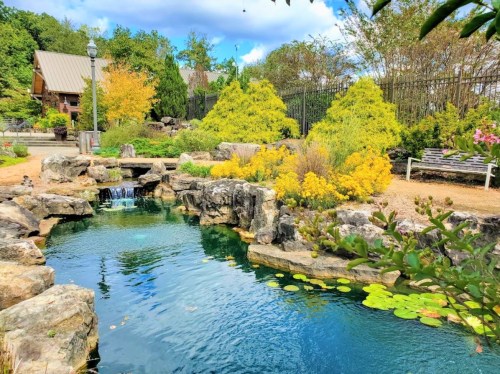 A serene garden scene featuring a pond with rocks, water lilies, and vibrant yellow flowers under a blue sky.