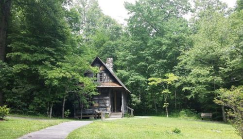 A quaint cabin nestled among lush green trees, with a pathway leading to its entrance.