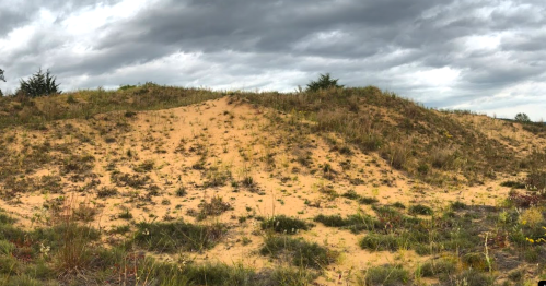 A sandy dune landscape with sparse vegetation under a cloudy sky.