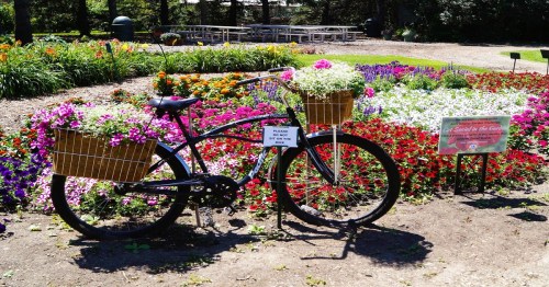 A black bicycle with flower baskets parked in a vibrant garden filled with colorful flowers and a sign nearby.