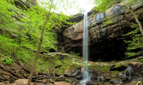 A serene waterfall cascades down rocky cliffs, surrounded by lush green trees and foliage.