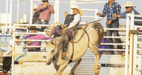 A cowboy rides a bucking horse at a rodeo, surrounded by spectators in cowboy hats and colorful shirts.