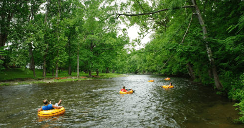 People floating on inner tubes down a lush, green river surrounded by trees on a cloudy day.