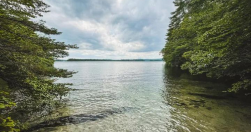 A serene lake surrounded by lush greenery under a cloudy sky, with clear water reflecting the landscape.