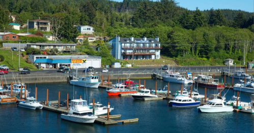 A scenic marina with various boats docked, surrounded by green hills and buildings in the background.