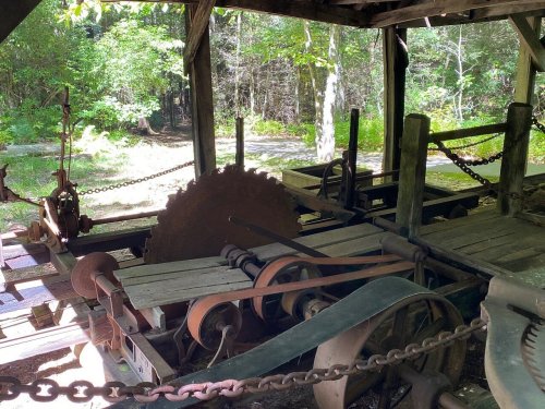 An old sawmill with wooden machinery and a large circular saw, surrounded by trees in a natural setting.