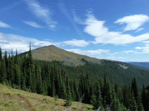 A scenic view of a mountain peak surrounded by lush green forests under a blue sky with scattered clouds.