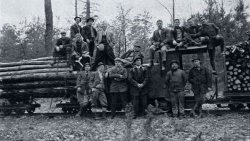 A group of men poses on and around a train car loaded with logs in a forested area.
