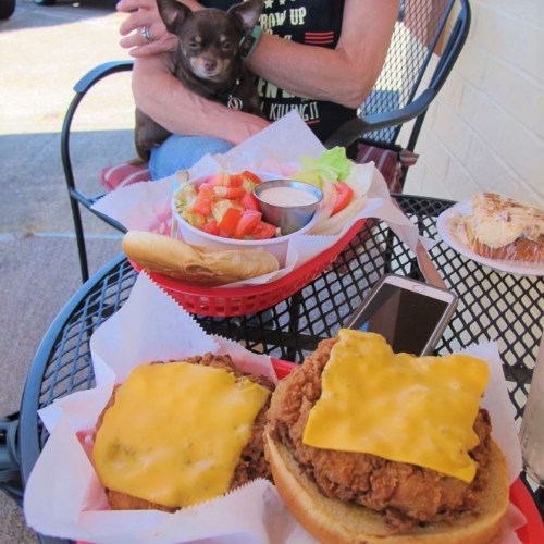 A person holds a small dog while sitting at a table with two cheeseburgers, a salad, and a dessert.