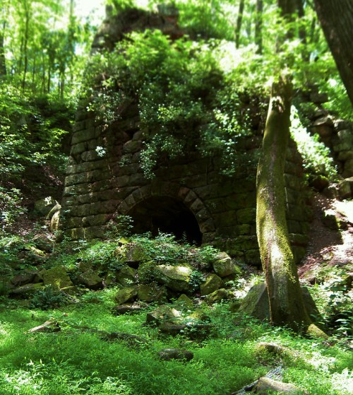 Ruins of a stone structure covered in greenery, surrounded by trees and lush vegetation in a forested area.