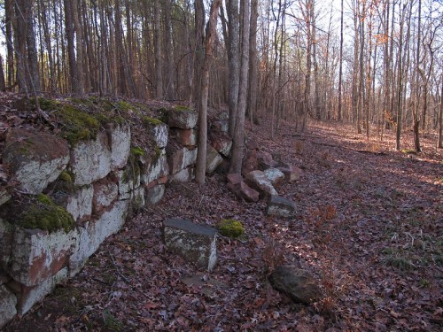 A stone wall covered in moss, surrounded by trees and fallen leaves in a wooded area during autumn.